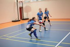 IMG_8784