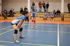 IMG_8874